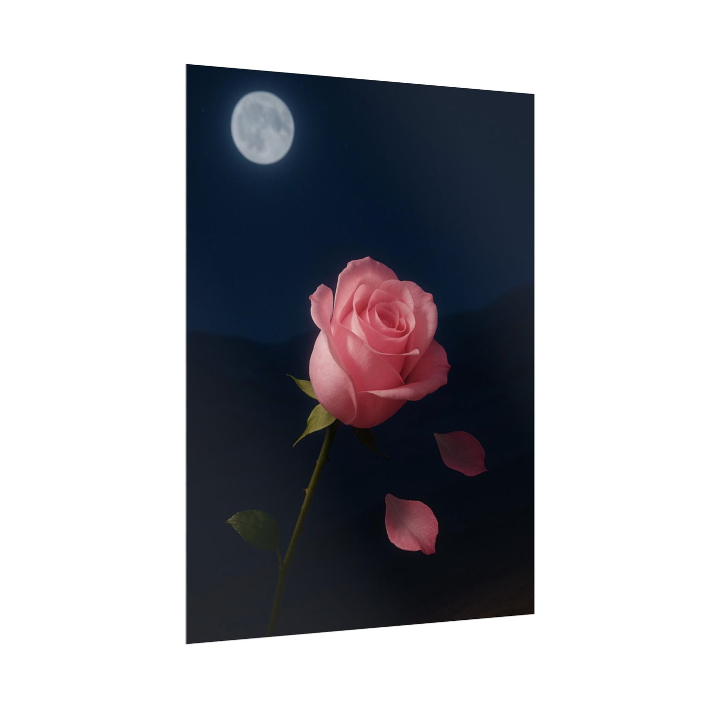 Midnight Rose Wall Art, Romantic Floral Poster Size, Semi-Glossy Print, Gift for Home & Loved Ones