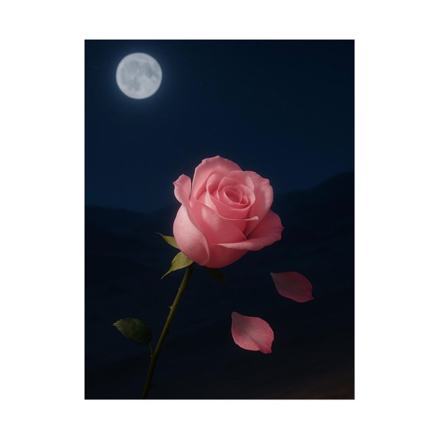 Midnight Rose Wall Art, Romantic Floral Poster Size, Semi-Glossy Print, Gift for Home & Loved Ones
