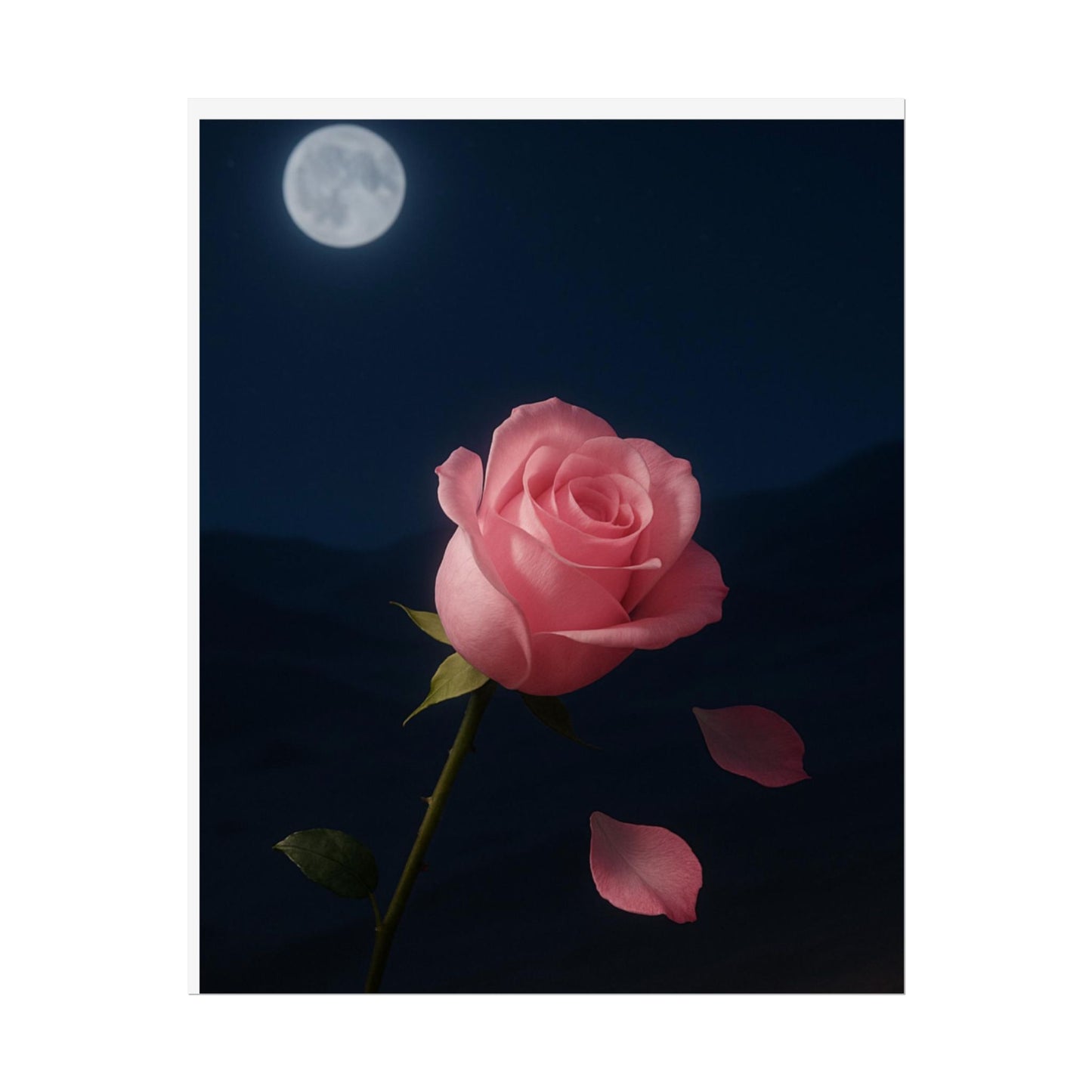 Midnight Rose Wall Art, Romantic Floral Poster Size, Semi-Glossy Print, Gift for Home & Loved Ones