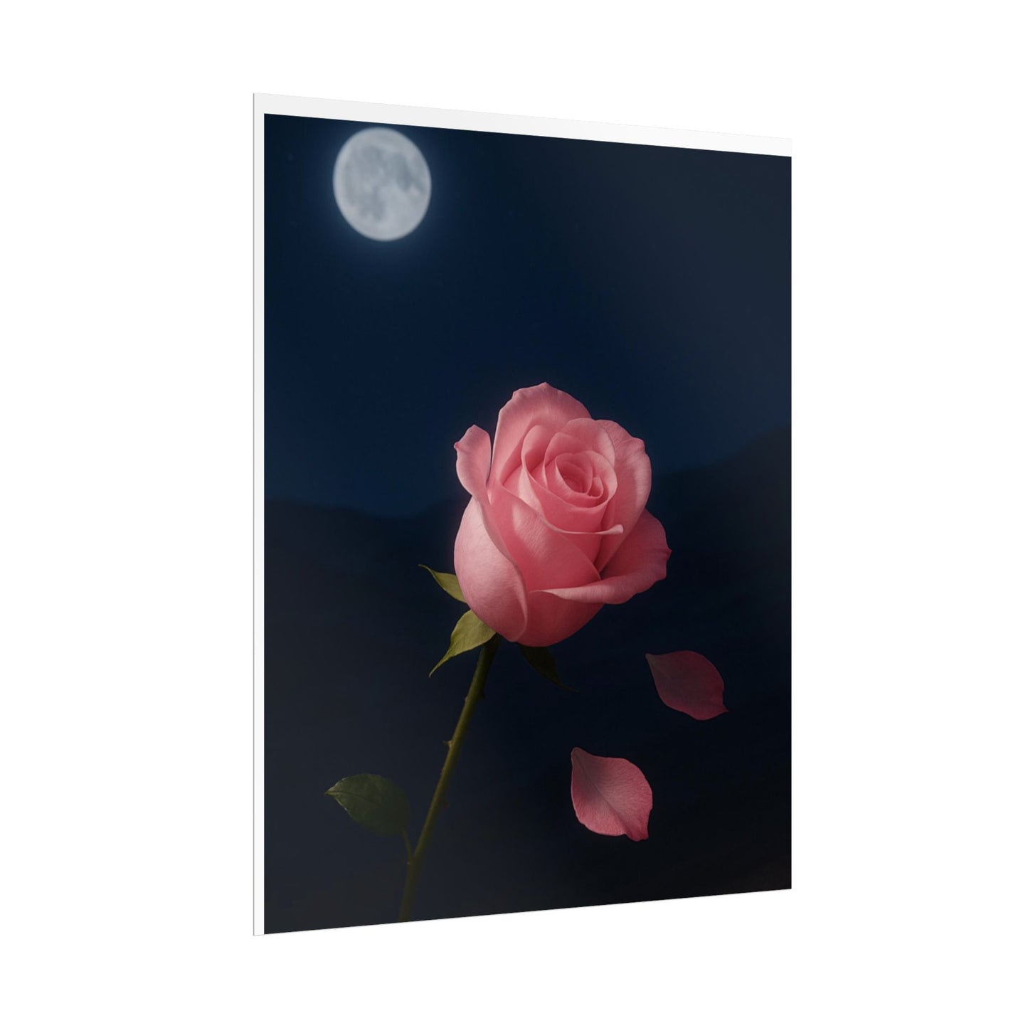 Midnight Rose Wall Art, Romantic Floral Poster Size, Semi-Glossy Print, Gift for Home & Loved Ones